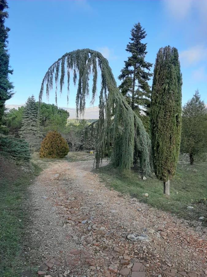 Domaine De La Xavoliere Hotel Saint-Cezaire-sur-Siagne Luaran gambar
