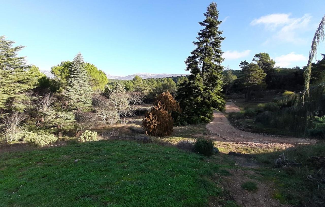 Domaine De La Xavoliere Hotel Saint-Cezaire-sur-Siagne Luaran gambar